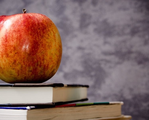 Permaculture: 3 livres essentiels