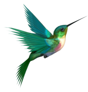 colibri
